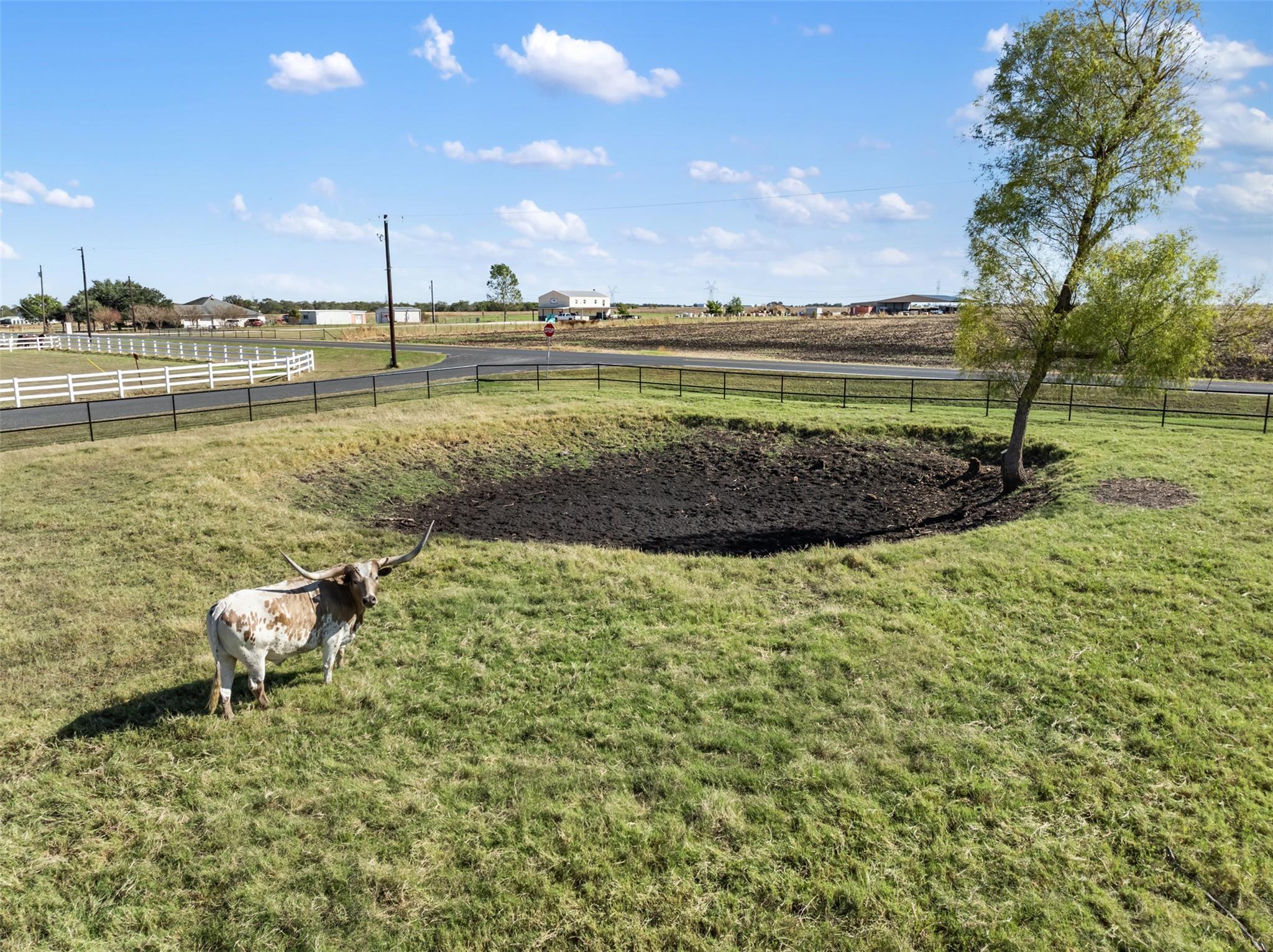 155 Gabriel Farms Dr, Hutto, TX 78634