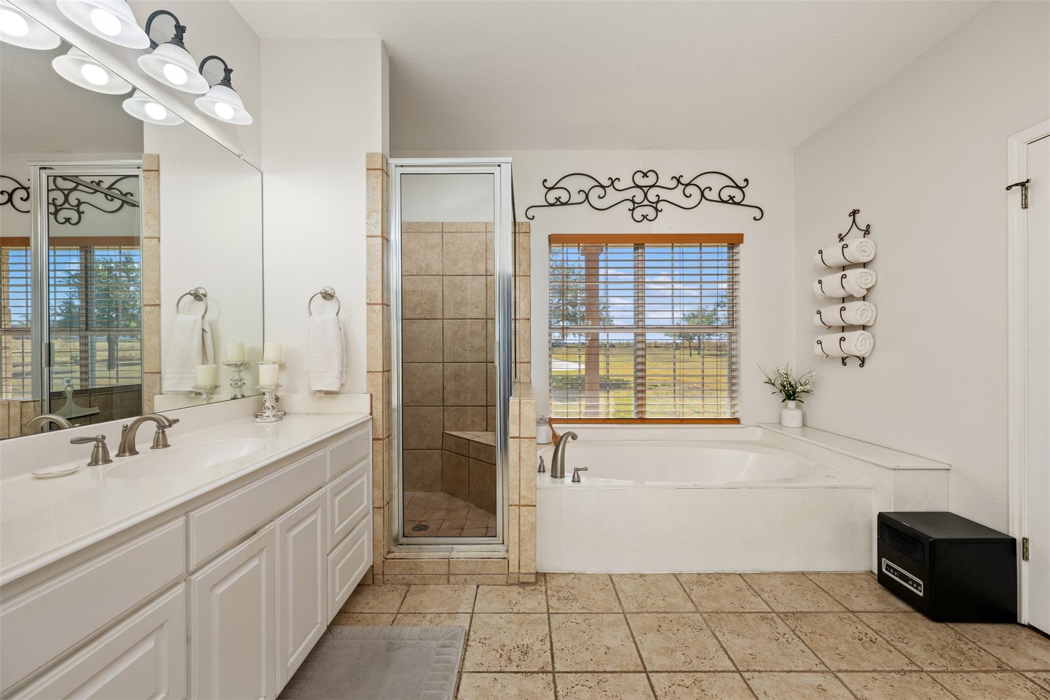 155 Gabriel Farms Dr, Hutto, TX 78634