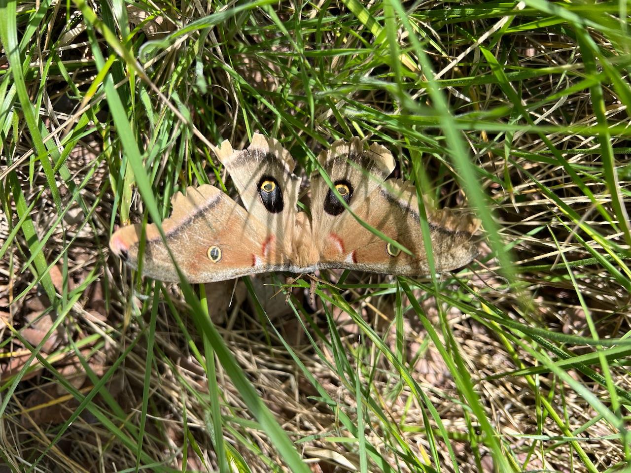 TBD Cunningham Dr, Lockhart, TX 78644