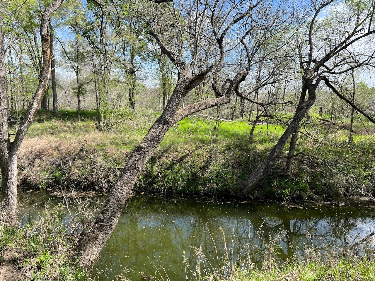 TBD Cunningham Dr, Lockhart, TX 78644