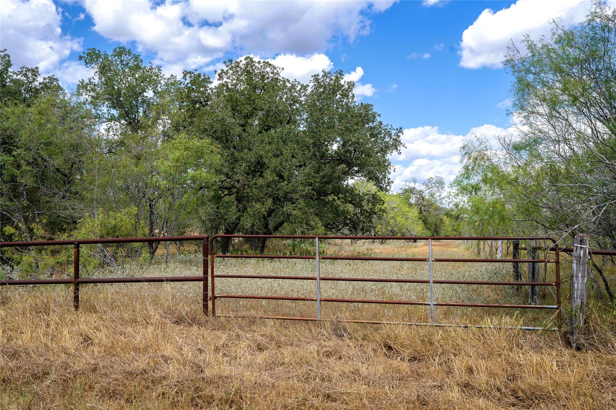 TBD Nash Creek Rd, Kingsbury, TX 78638