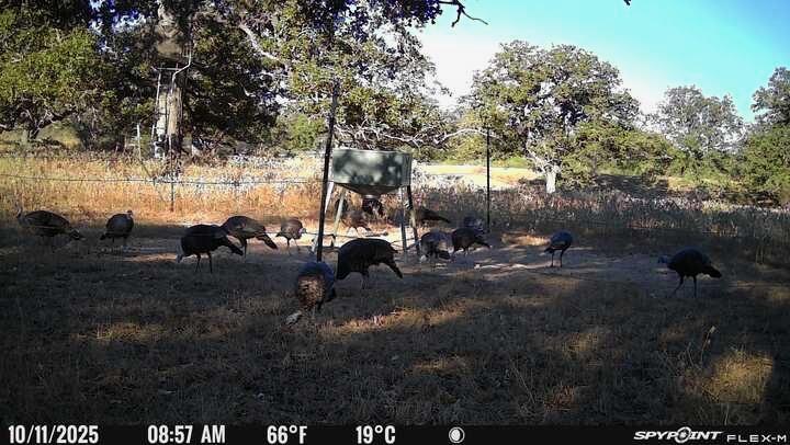 TBD Nash Creek Rd, Kingsbury, TX 78638