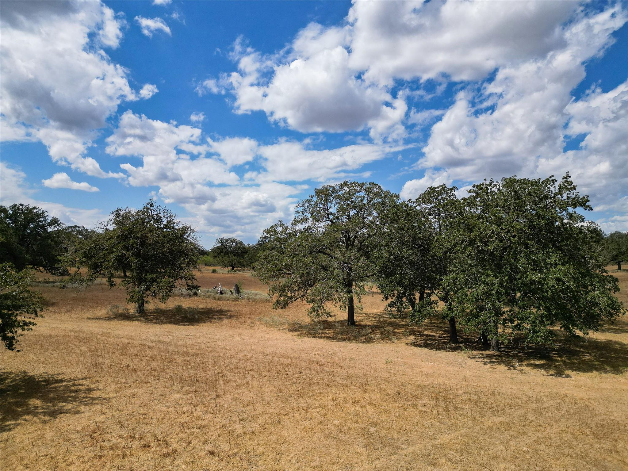 TBD Nash Creek Rd, Kingsbury, TX 78638