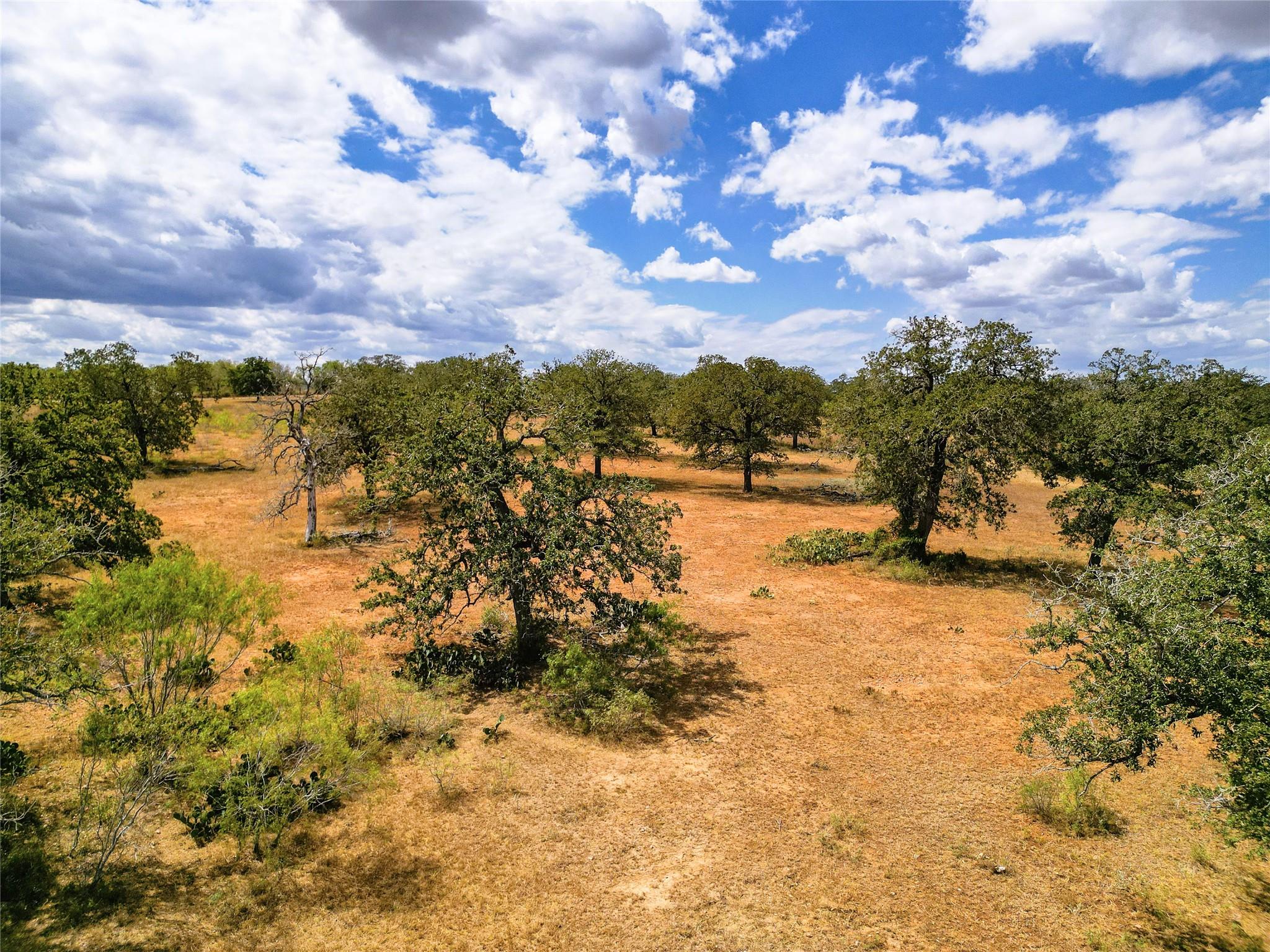 TBD Nash Creek Rd, Kingsbury, TX 78638