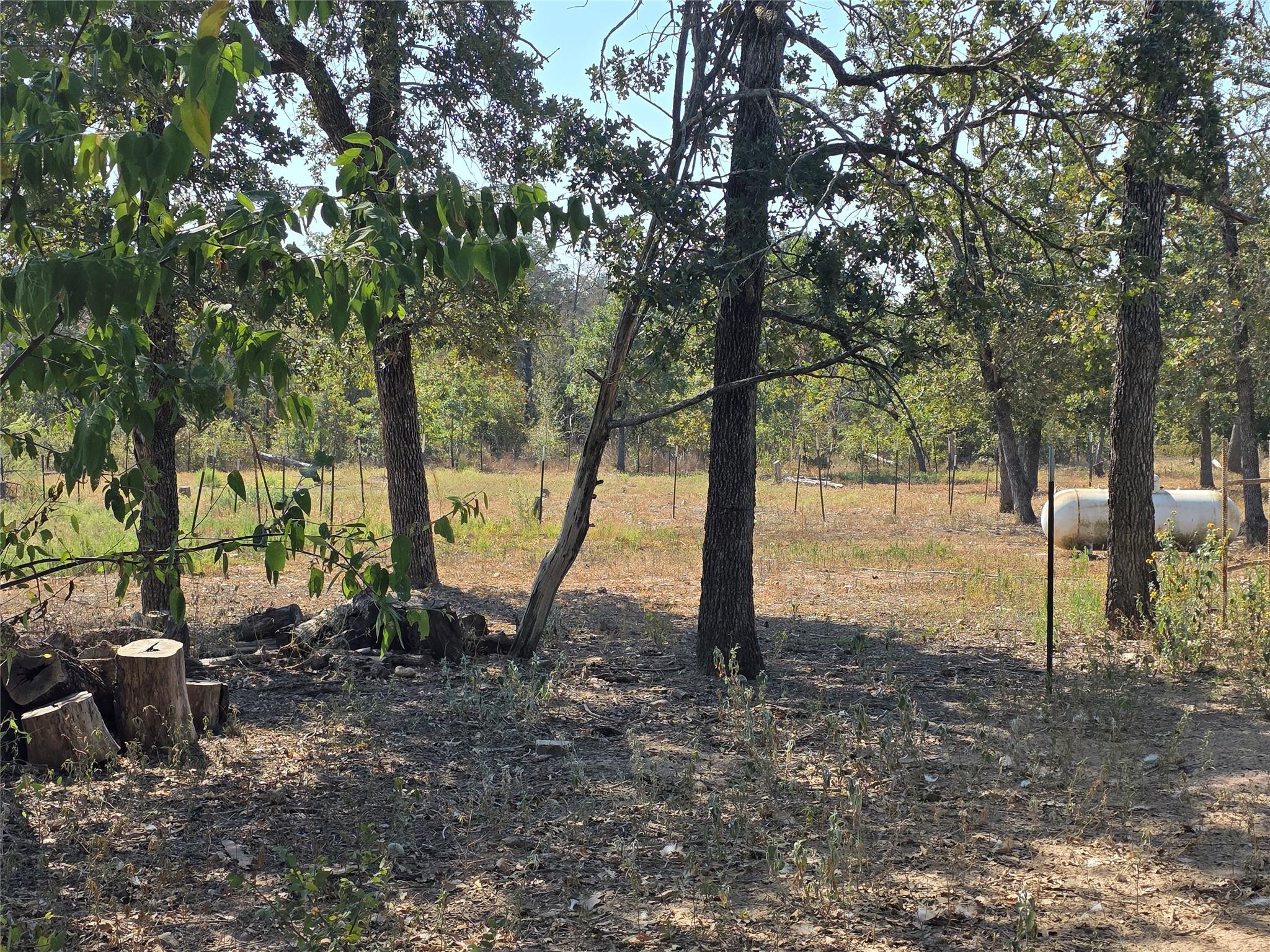 376 Jones Rd, Cedar Creek, TX 78612