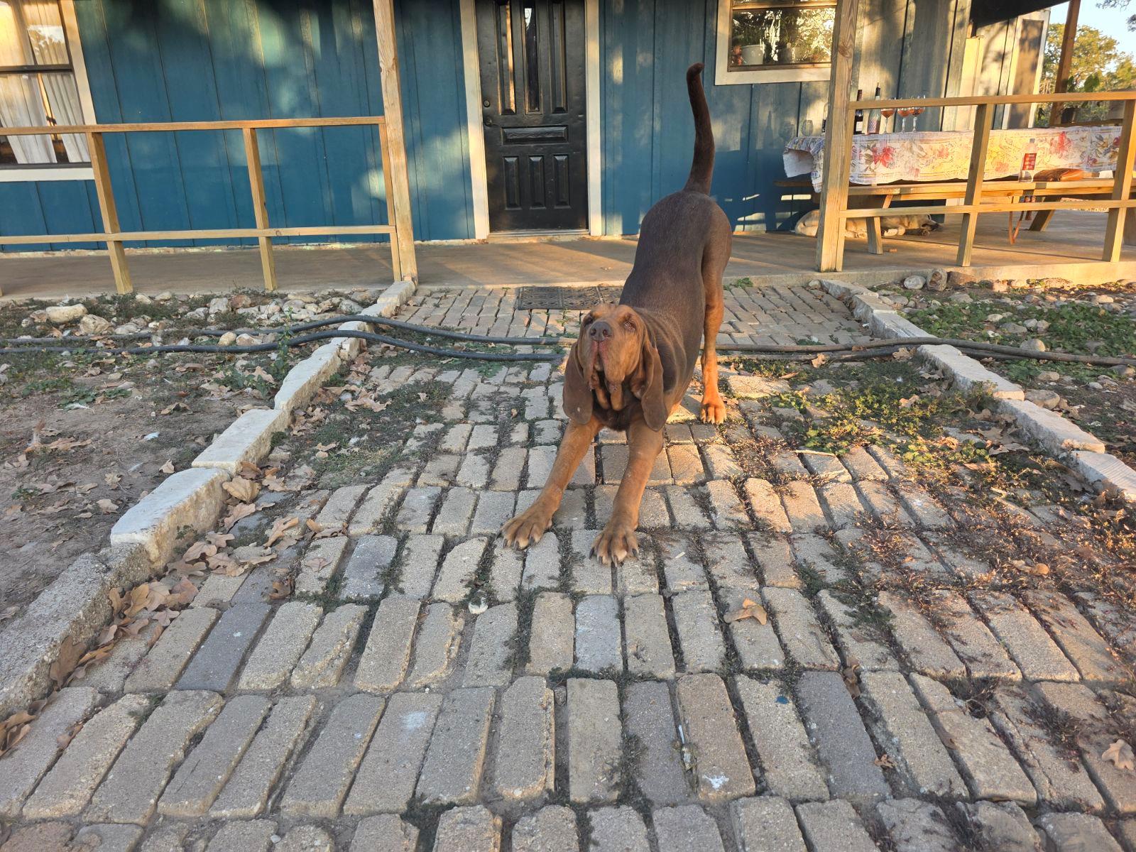 376 Jones Rd, Cedar Creek, TX 78612