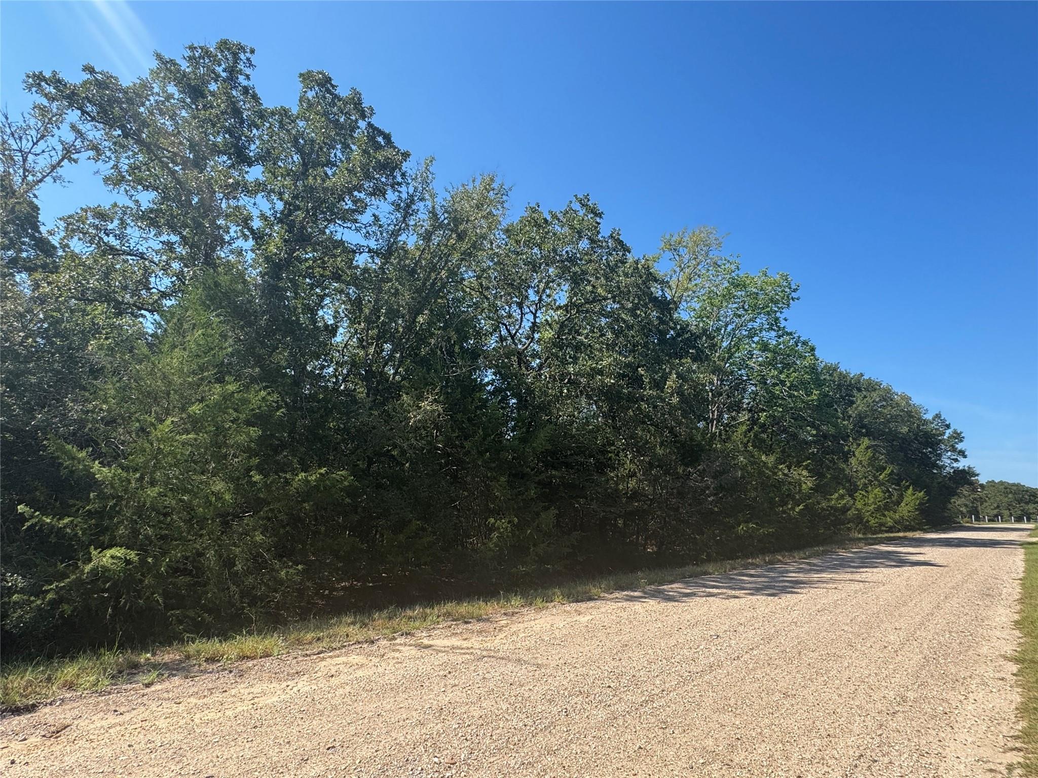 Tract 3 S Berry Rdg, Caldwell, TX 77836