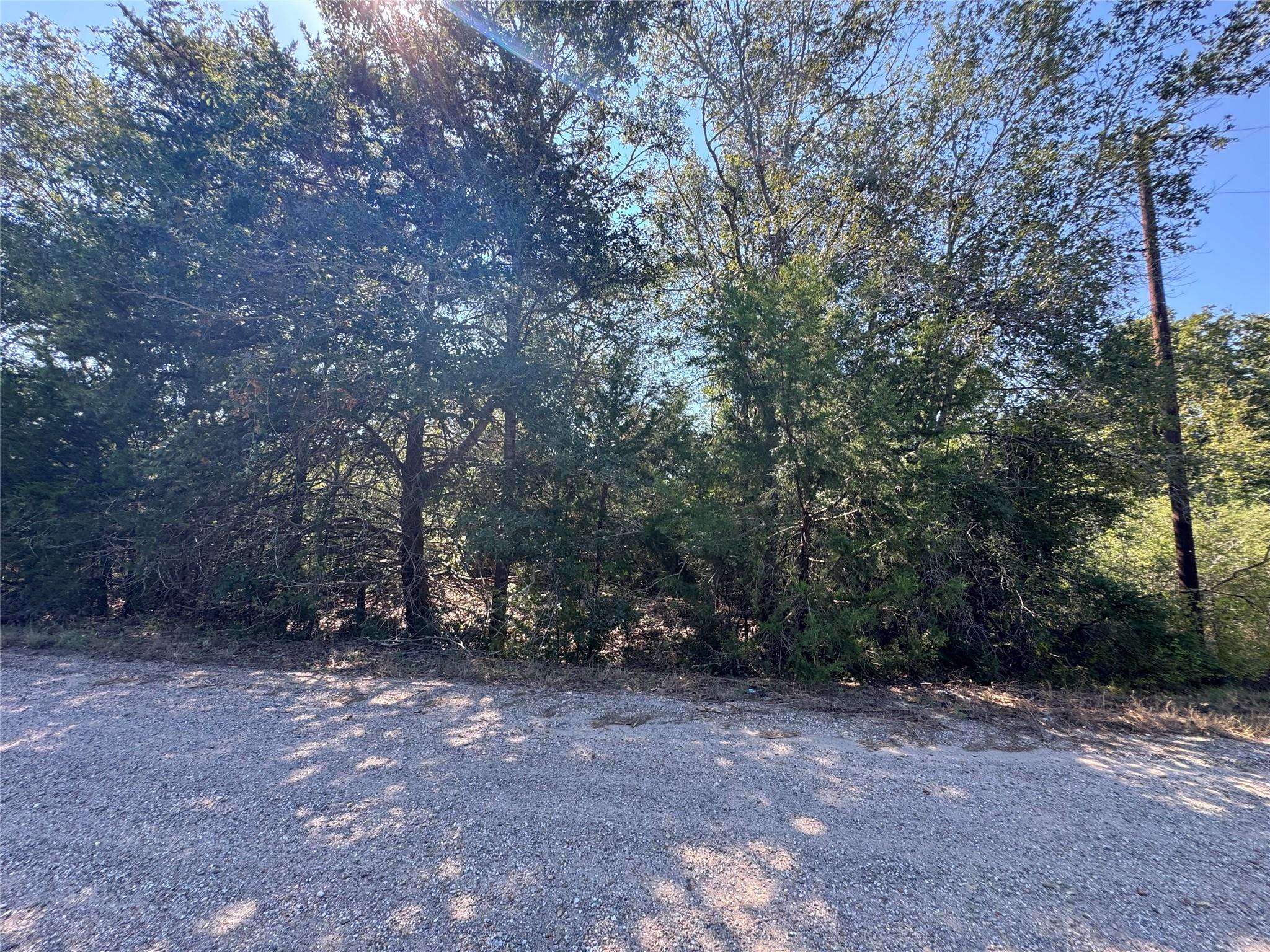 Tract 3 S Berry Rdg, Caldwell, TX 77836