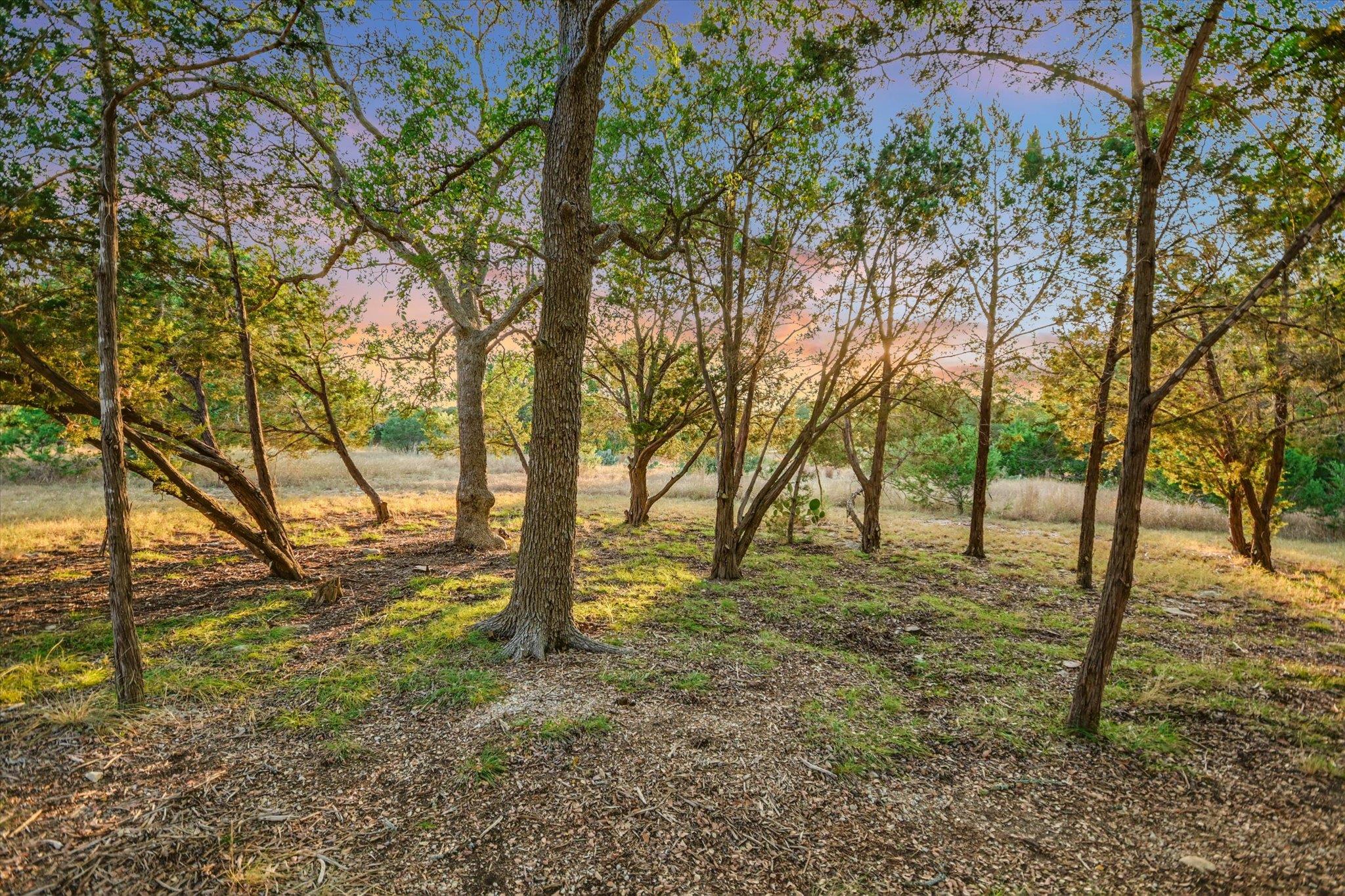 501 CAVE SPRINGS Dr, Wimberley, TX 78676