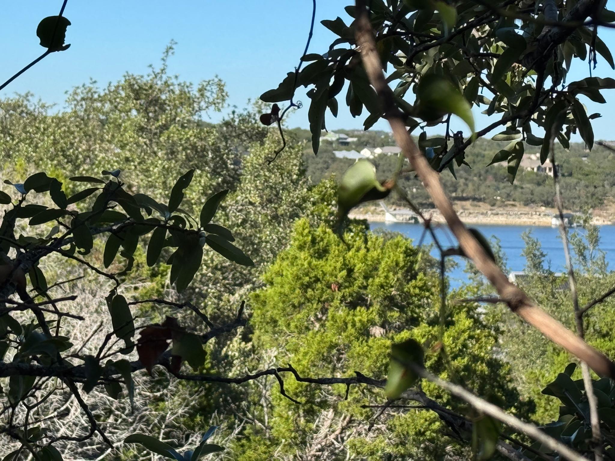 217 Lakefront Dr, Point Venture, TX 78645