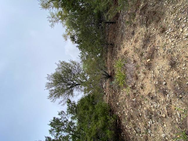 3101 EARHART Cv, Lago Vista, TX 78645