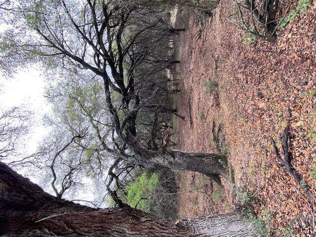 3101 EARHART Cv, Lago Vista, TX 78645