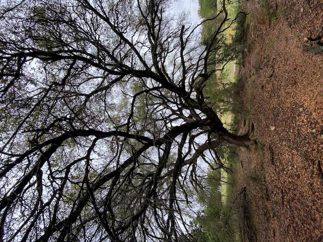 3101 EARHART Cv, Lago Vista, TX 78645