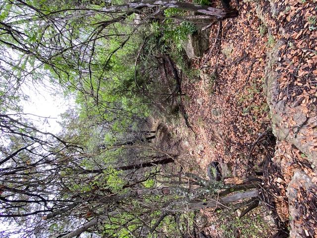 3101 EARHART Cv, Lago Vista, TX 78645