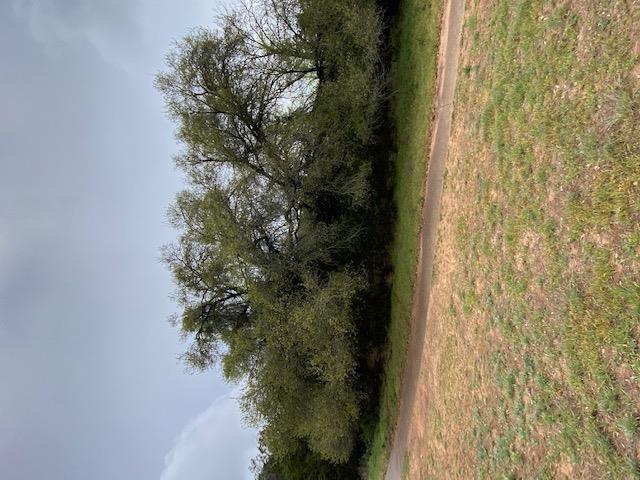 3101 EARHART Cv, Lago Vista, TX 78645