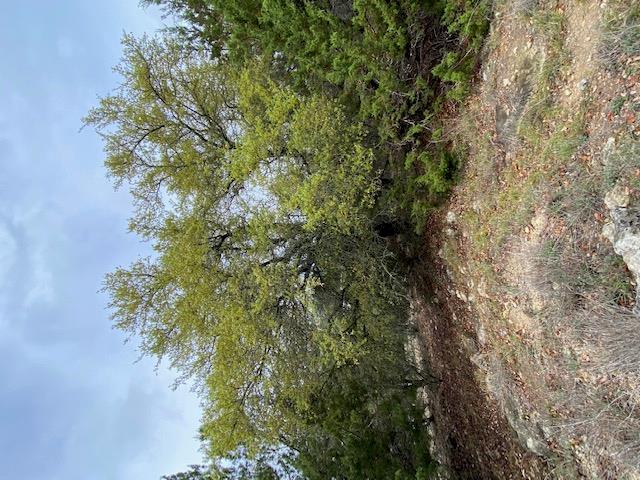 3101 EARHART Cv, Lago Vista, TX 78645