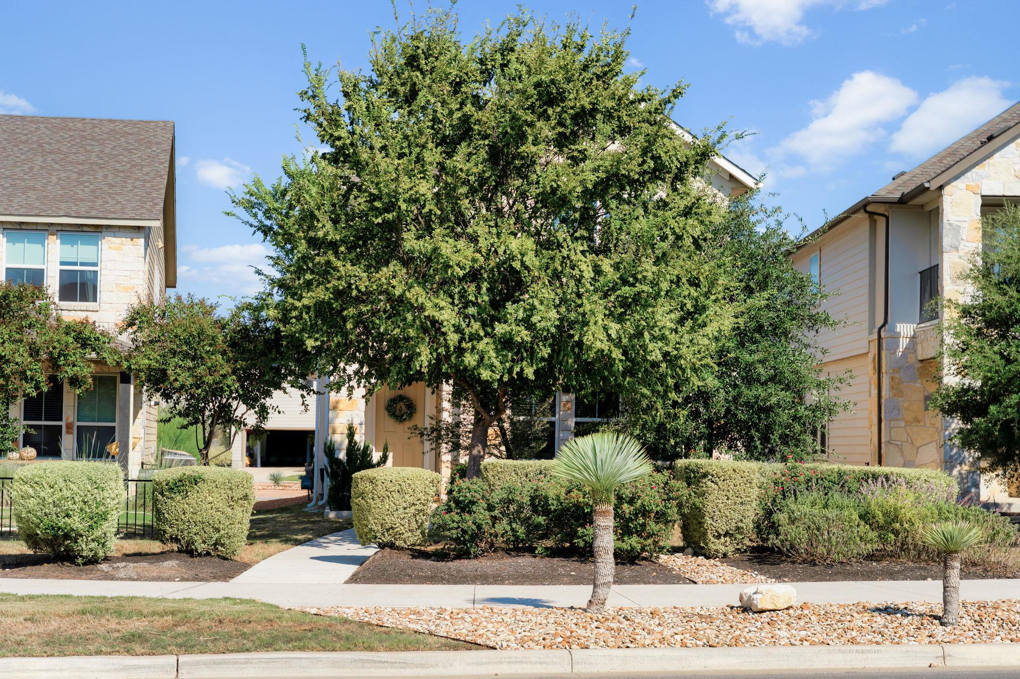 781 Lone Peak Way, Dripping Springs, TX 78620
