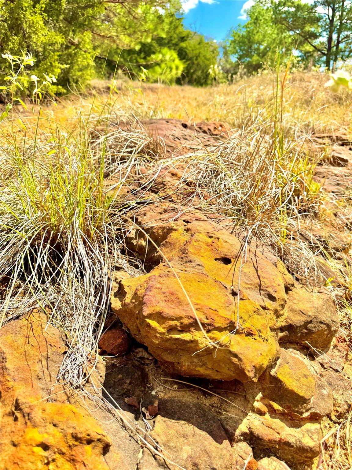 TBD 50.62 Acres Rabel Rd, Rosanky, TX 78953