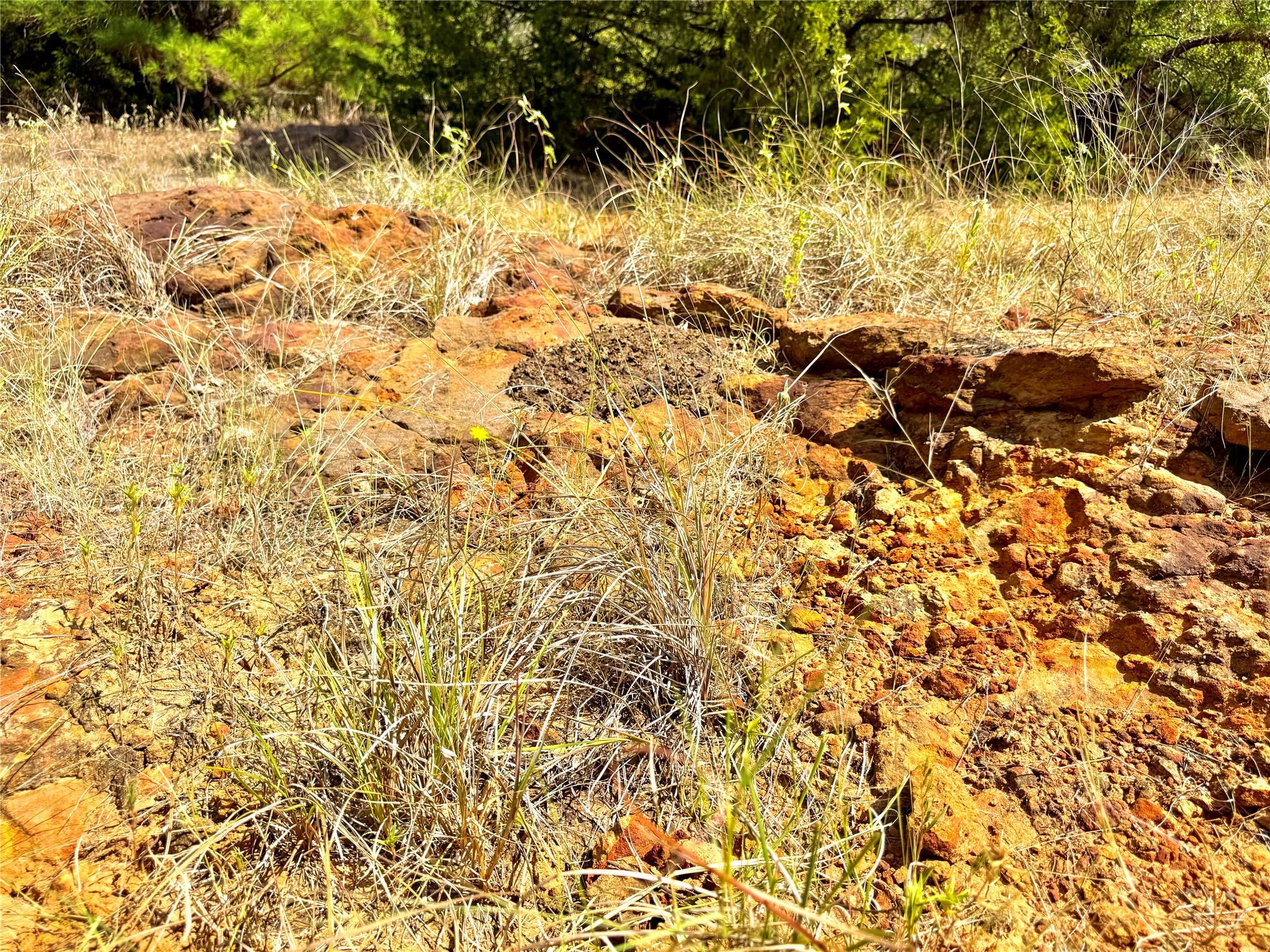 TBD 50.62 Acres Rabel Rd, Rosanky, TX 78953