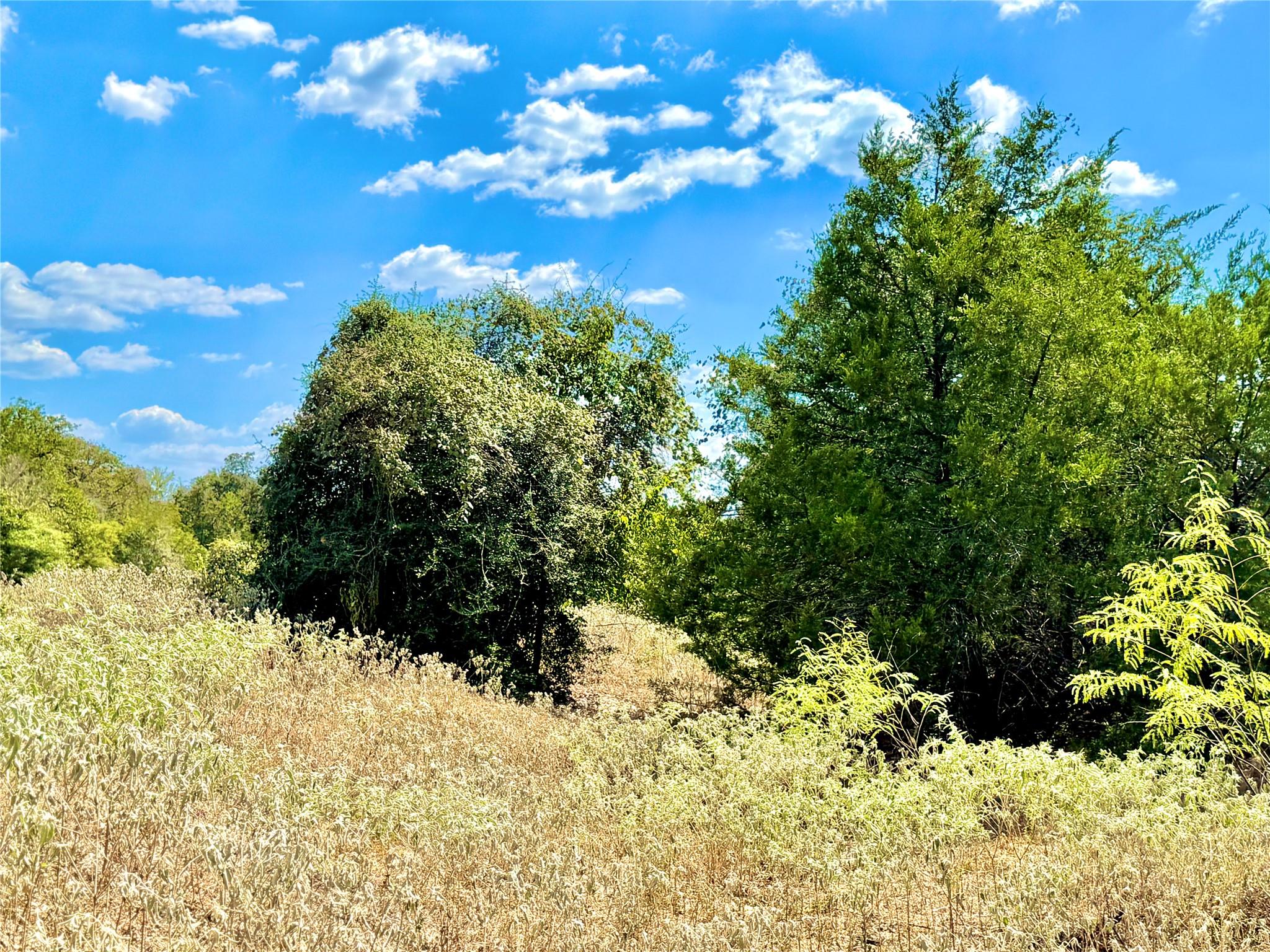 TBD 50.62 Acres Rabel Rd, Rosanky, TX 78953