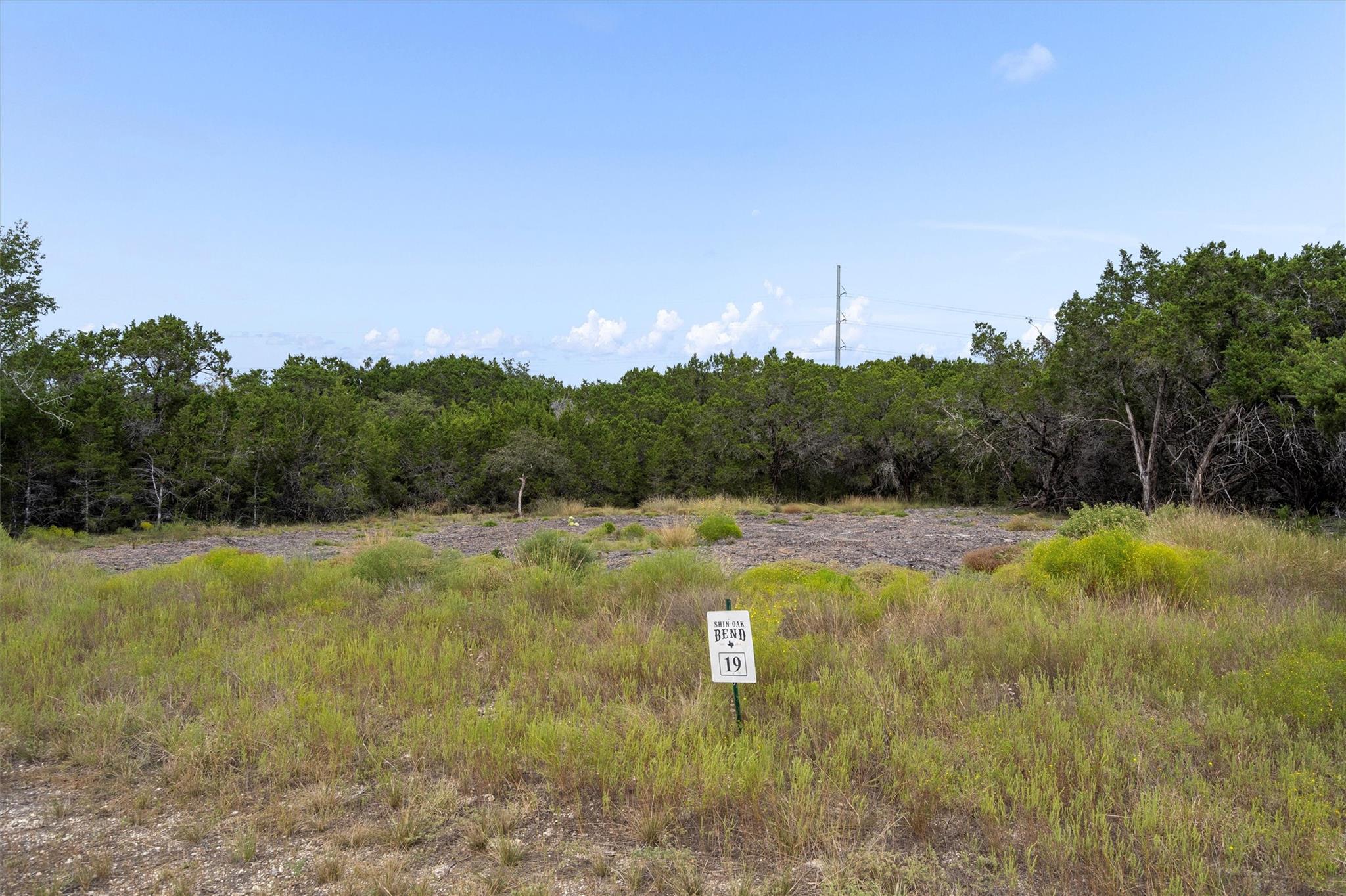 19 Riparian Elm Rd, Bertram, TX 78605