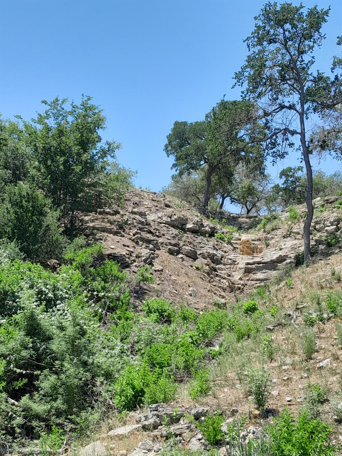 3103 Stableford Cv, Spicewood, TX 78669