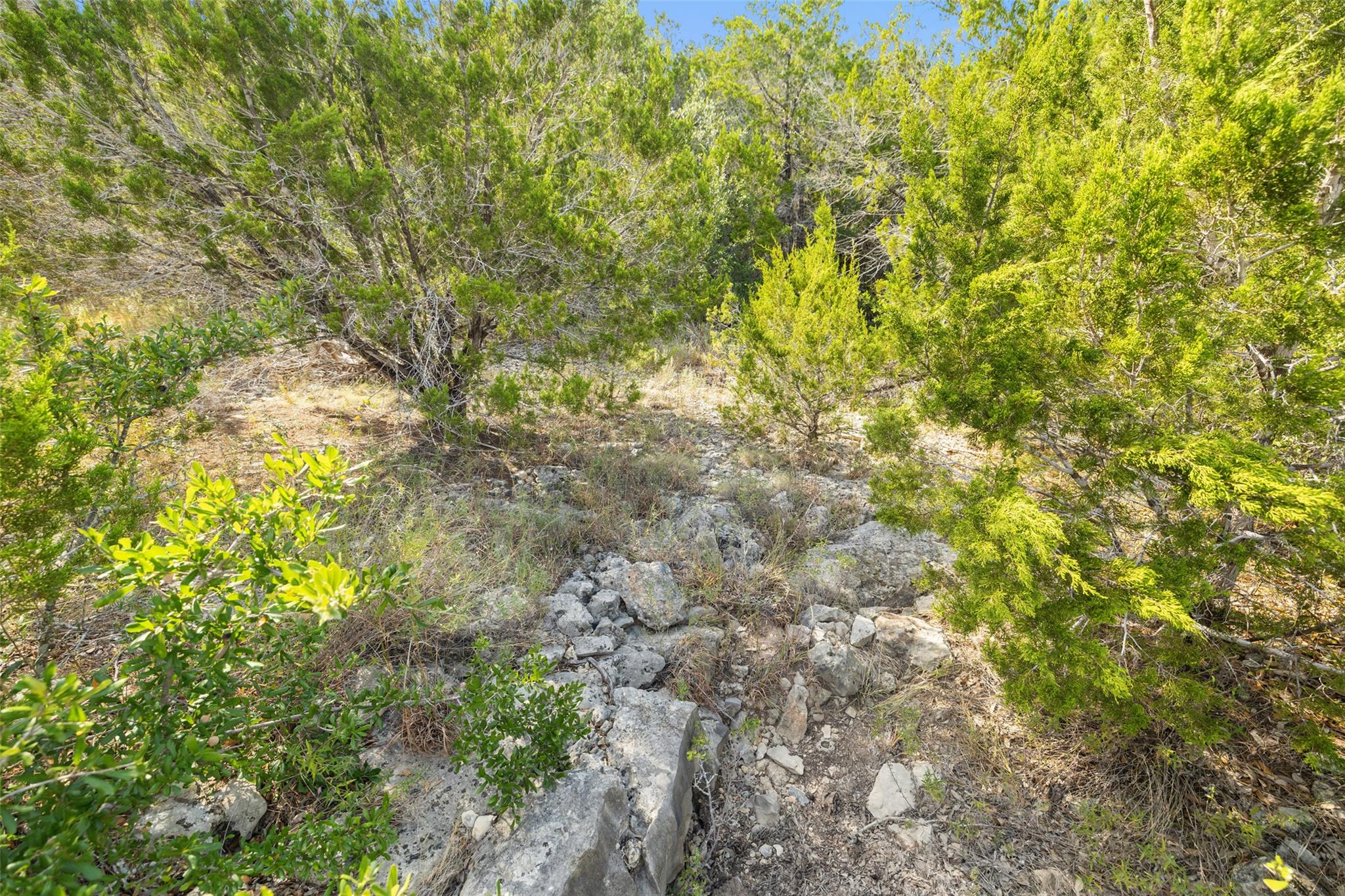 19718 Fig Bluff Ln, Spicewood, TX 78669