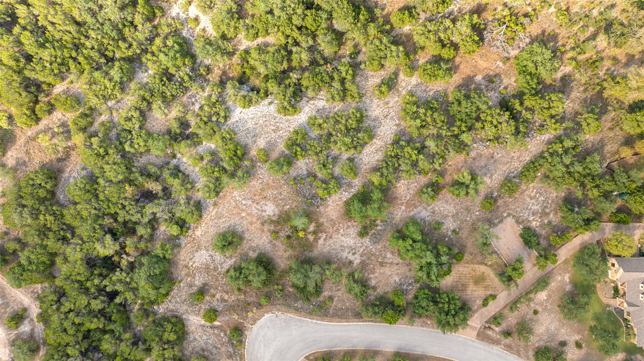 19718 Fig Bluff Ln, Spicewood, TX 78669