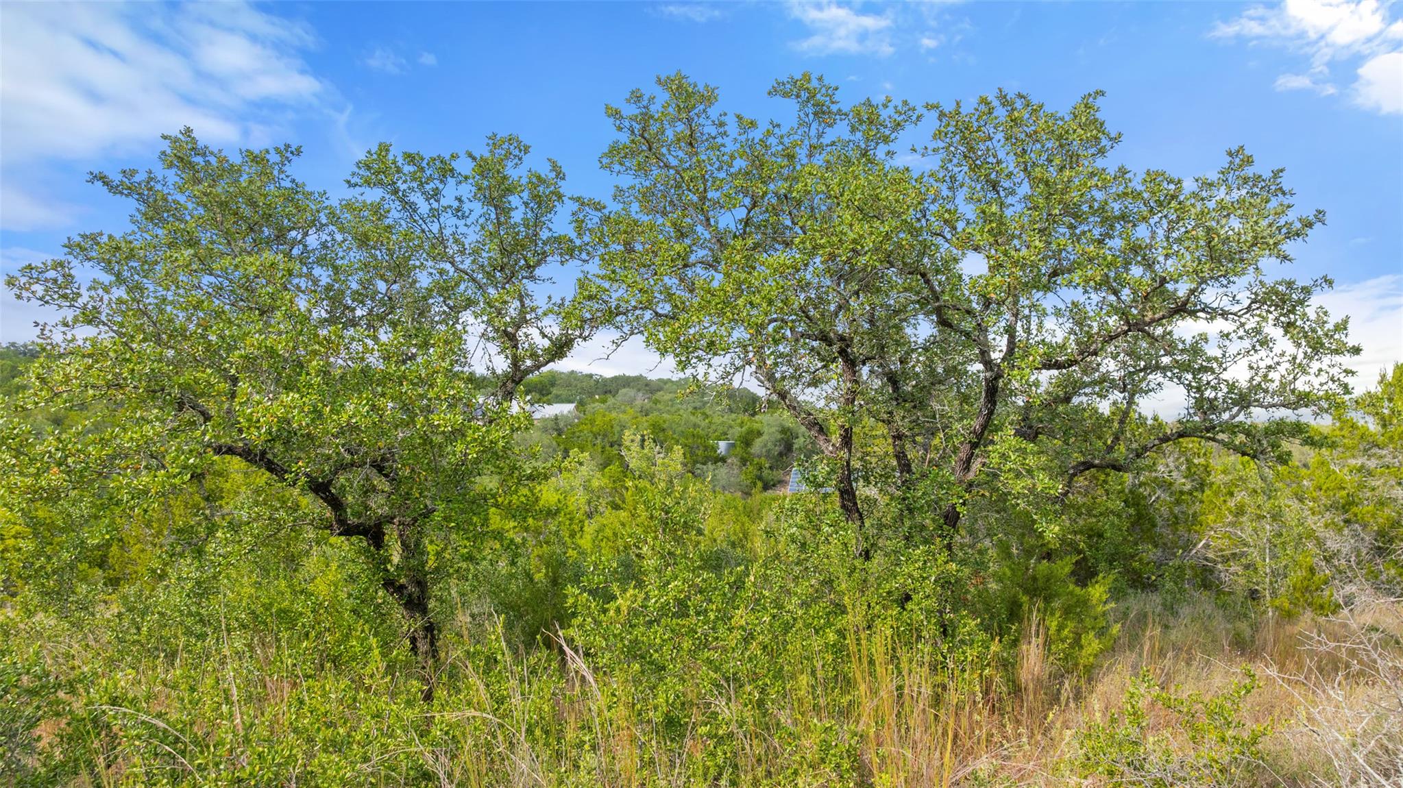 19718 Fig Bluff Ln, Spicewood, TX 78669