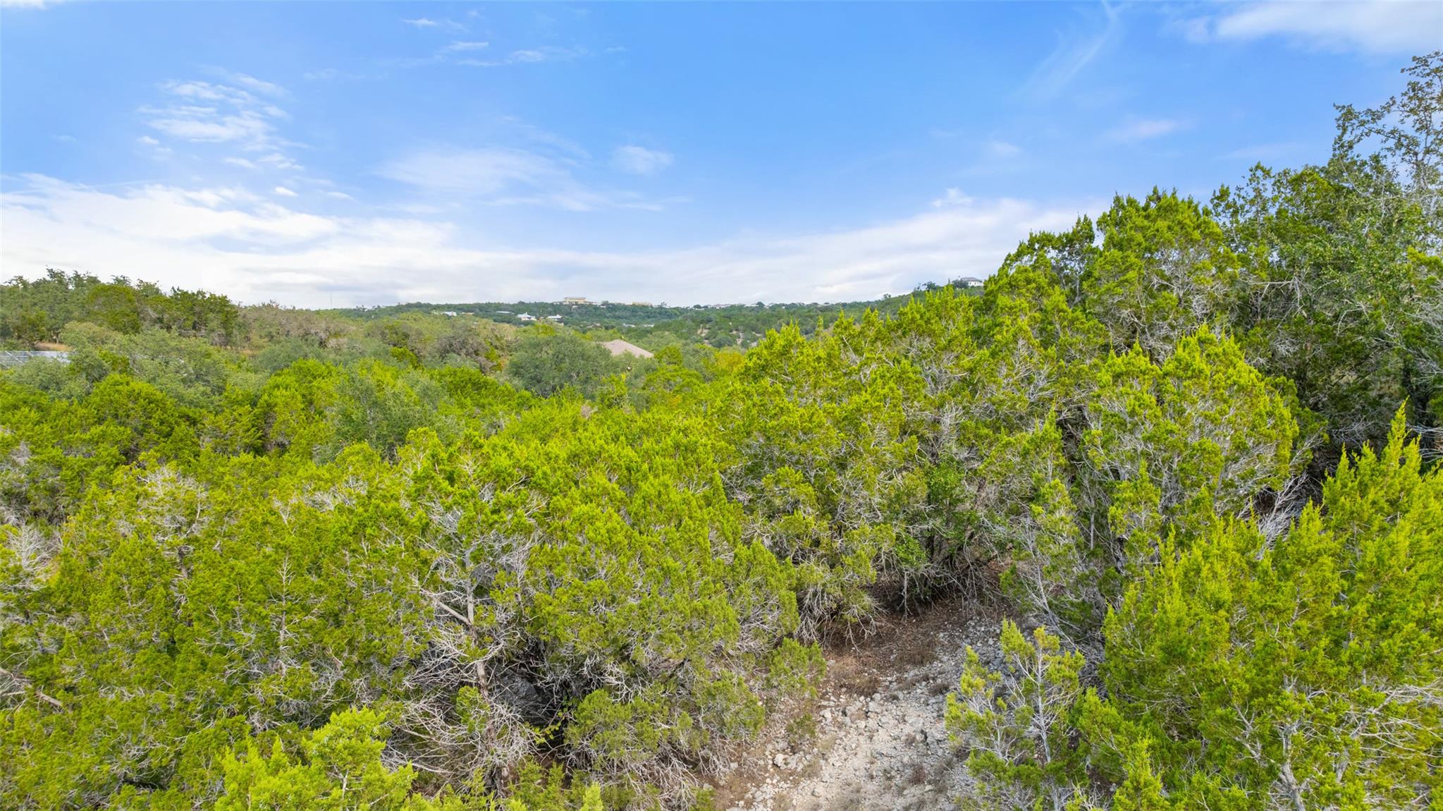 19718 Fig Bluff Ln, Spicewood, TX 78669