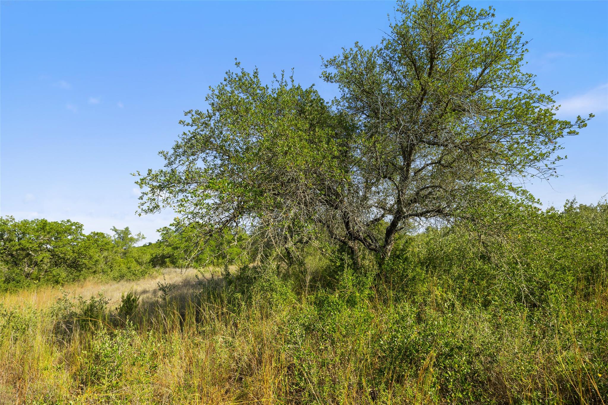 19718 Fig Bluff Ln, Spicewood, TX 78669