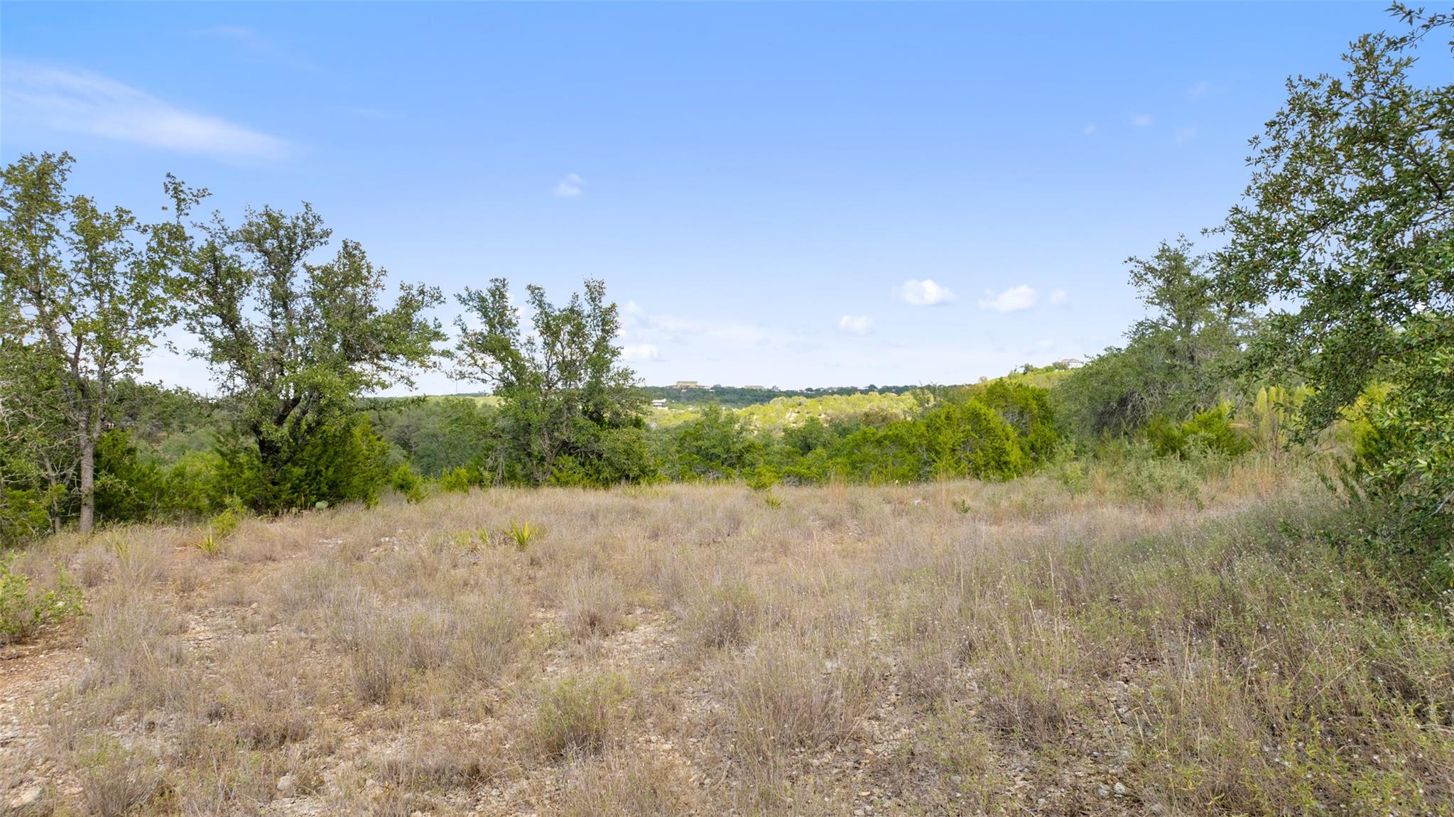 19718 Fig Bluff Ln, Spicewood, TX 78669