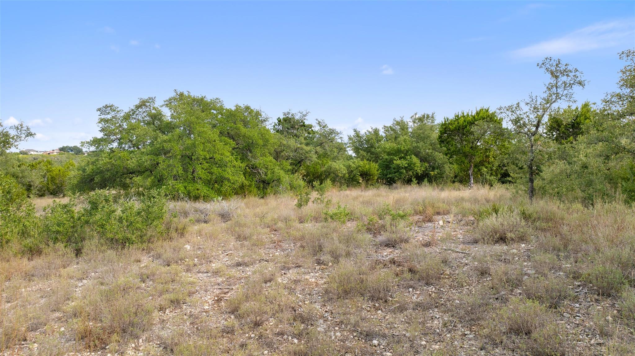 19718 Fig Bluff Ln, Spicewood, TX 78669