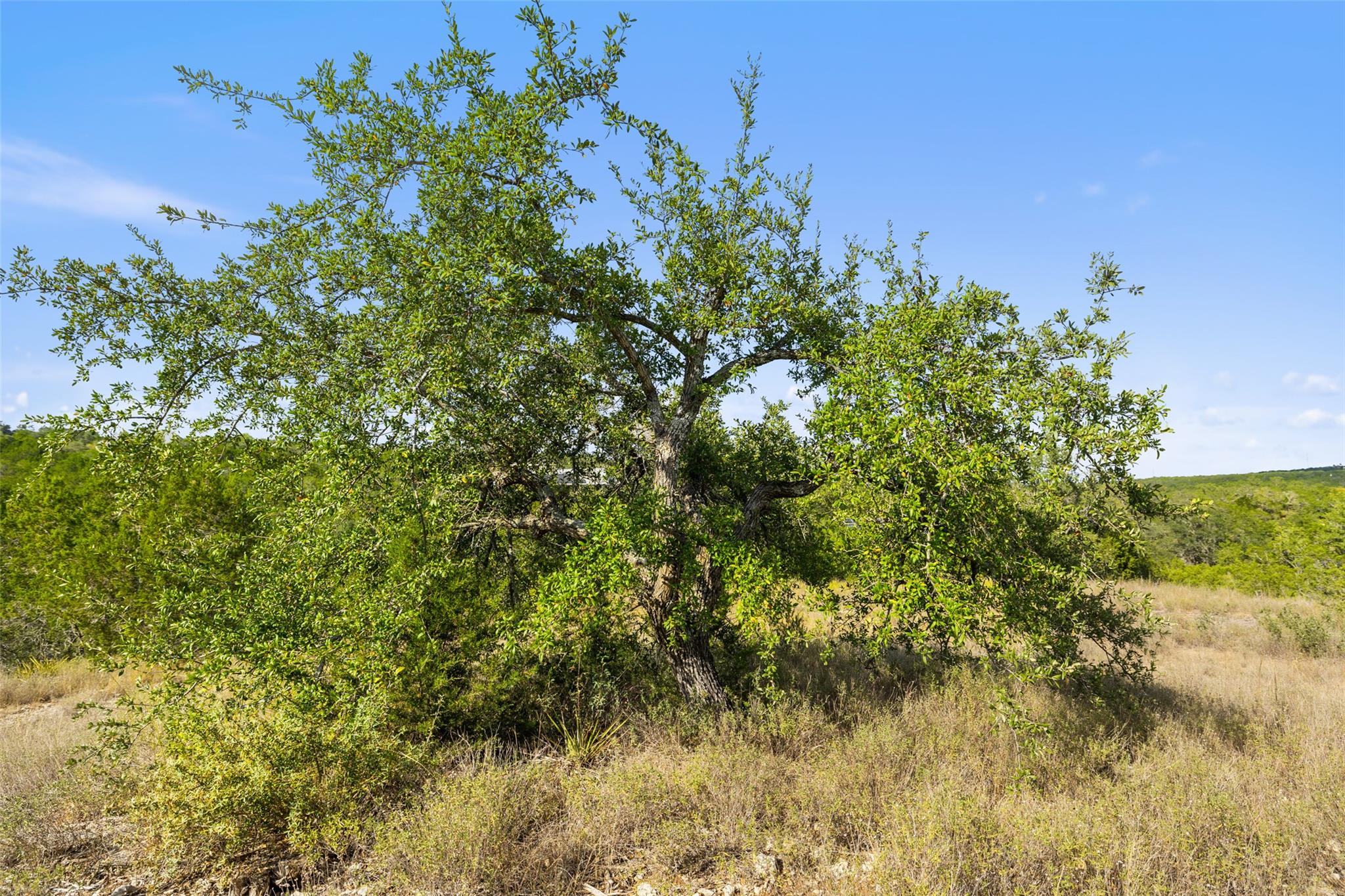 19718 Fig Bluff Ln, Spicewood, TX 78669