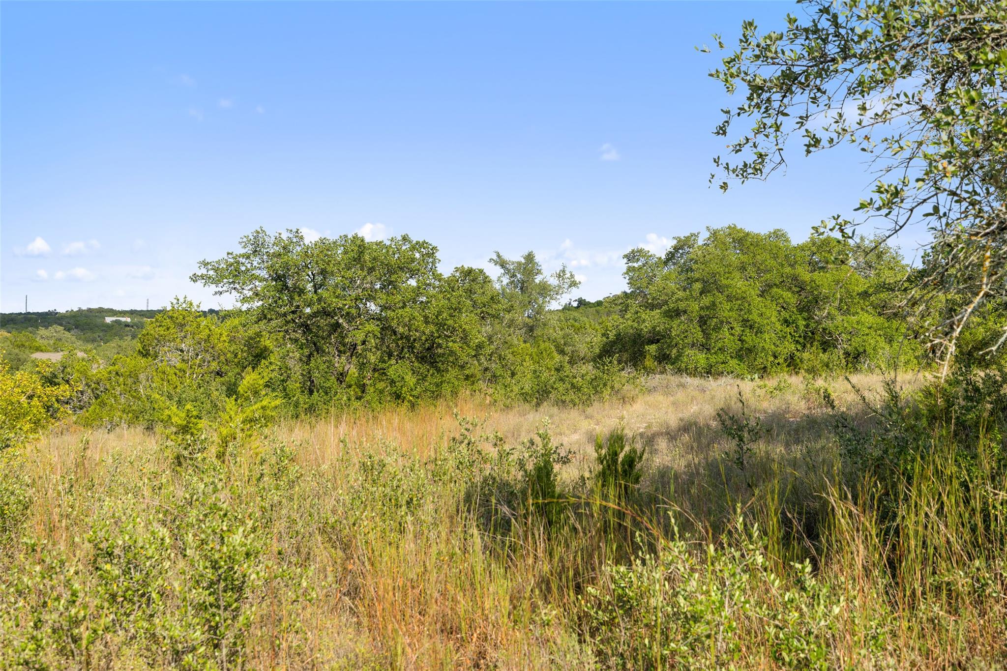 19718 Fig Bluff Ln, Spicewood, TX 78669
