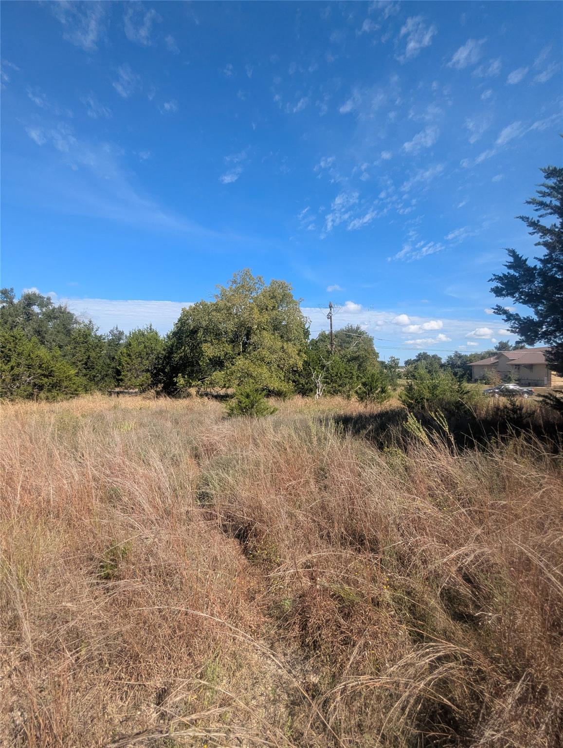 201 Springlake Dr, Dripping Springs, TX 78620