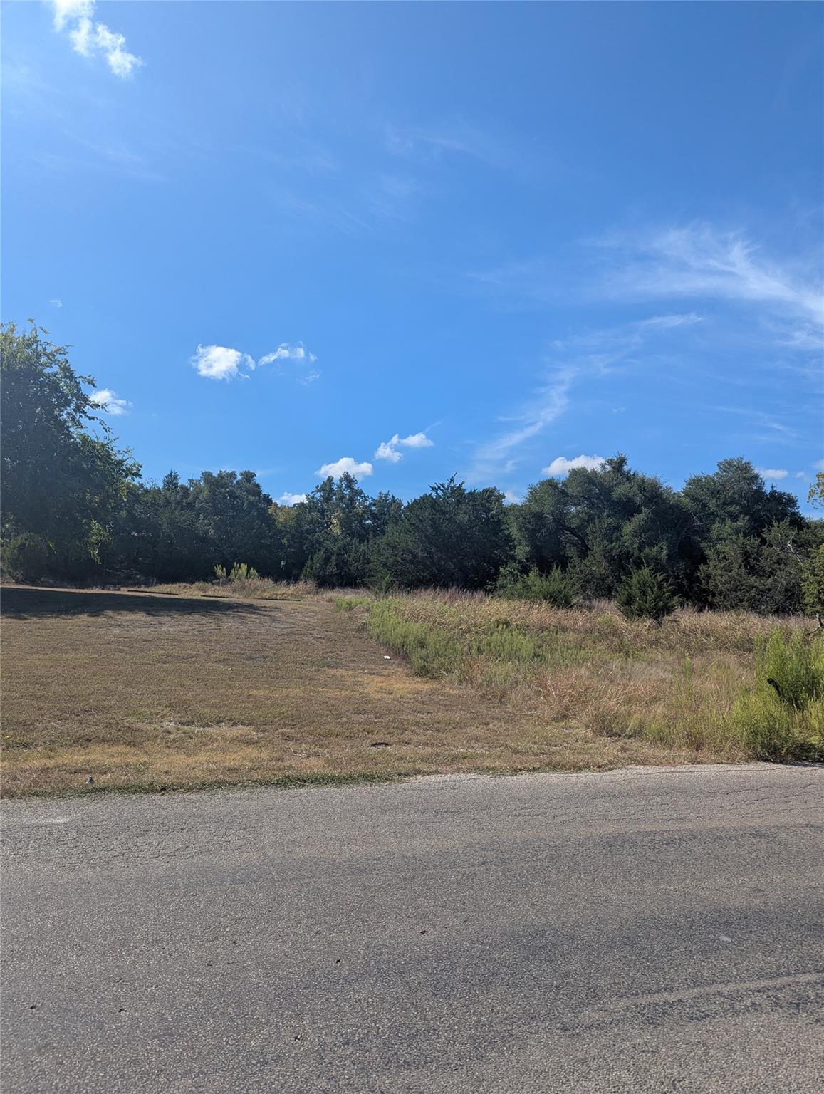 201 Springlake Dr, Dripping Springs, TX 78620