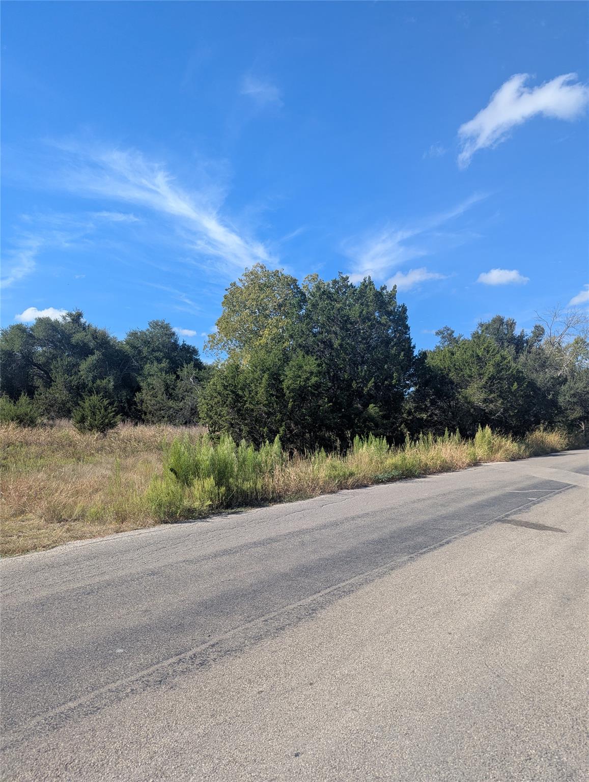 201 Springlake Dr, Dripping Springs, TX 78620