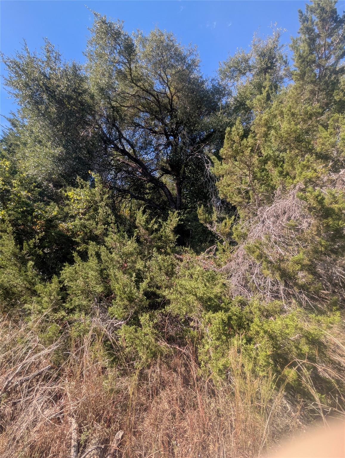 201 Springlake Dr, Dripping Springs, TX 78620