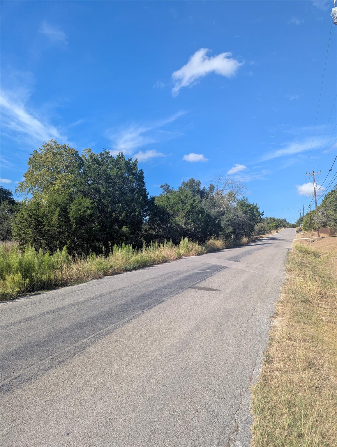 201 Springlake Dr, Dripping Springs, TX 78620