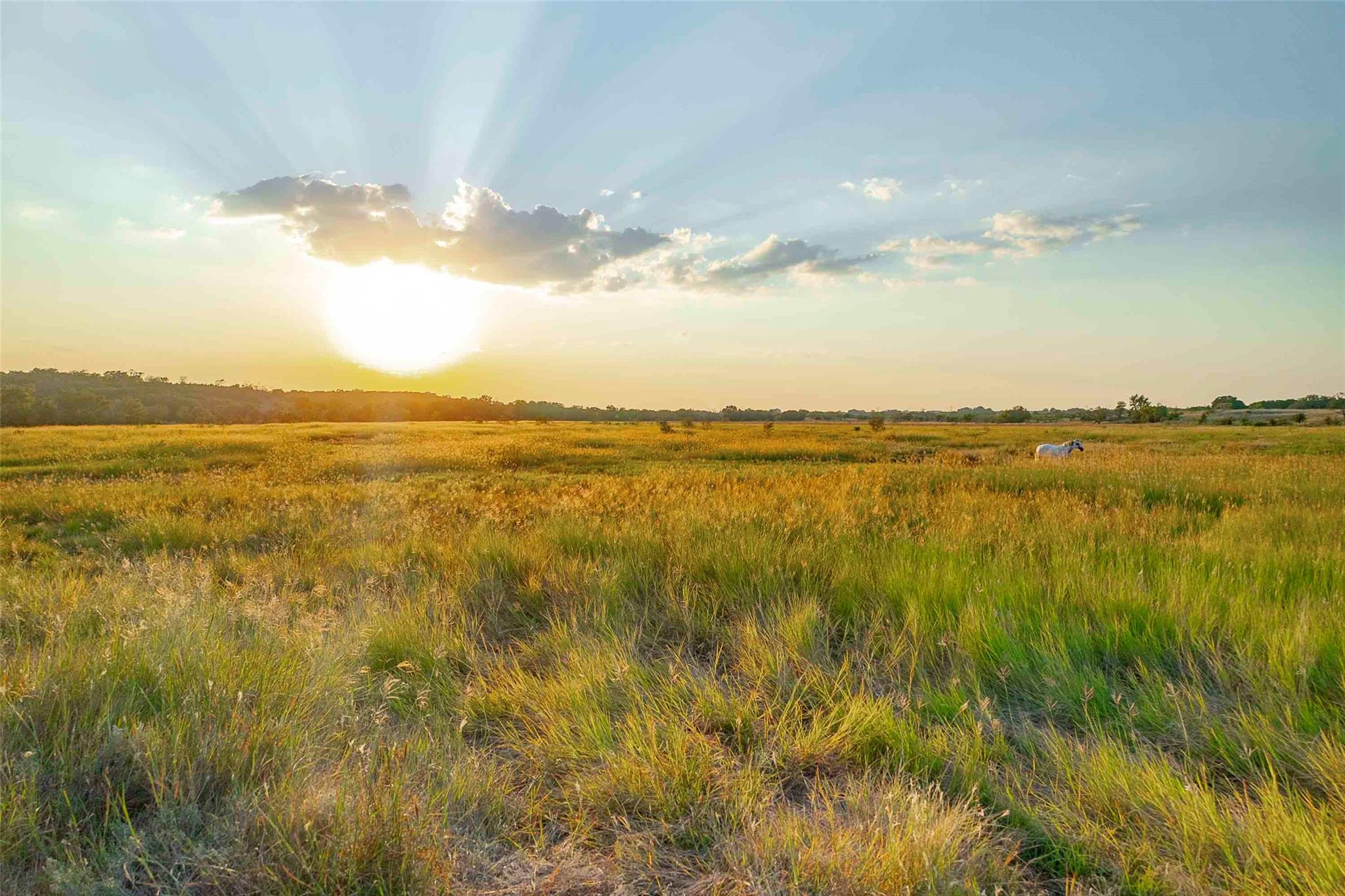 6415 County Road 3420, Lampasas, TX 76550