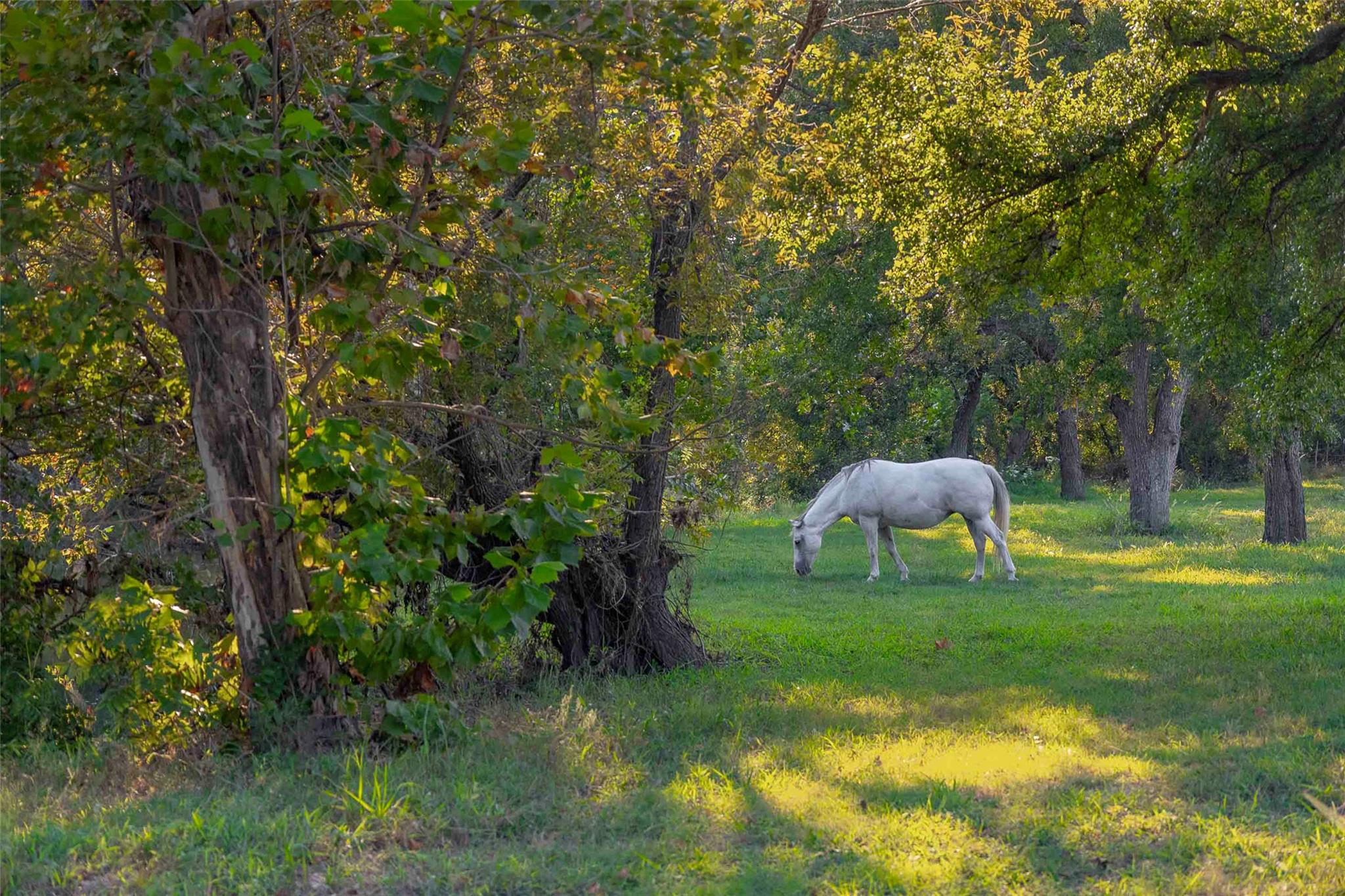 6415 County Road 3420, Lampasas, TX 76550
