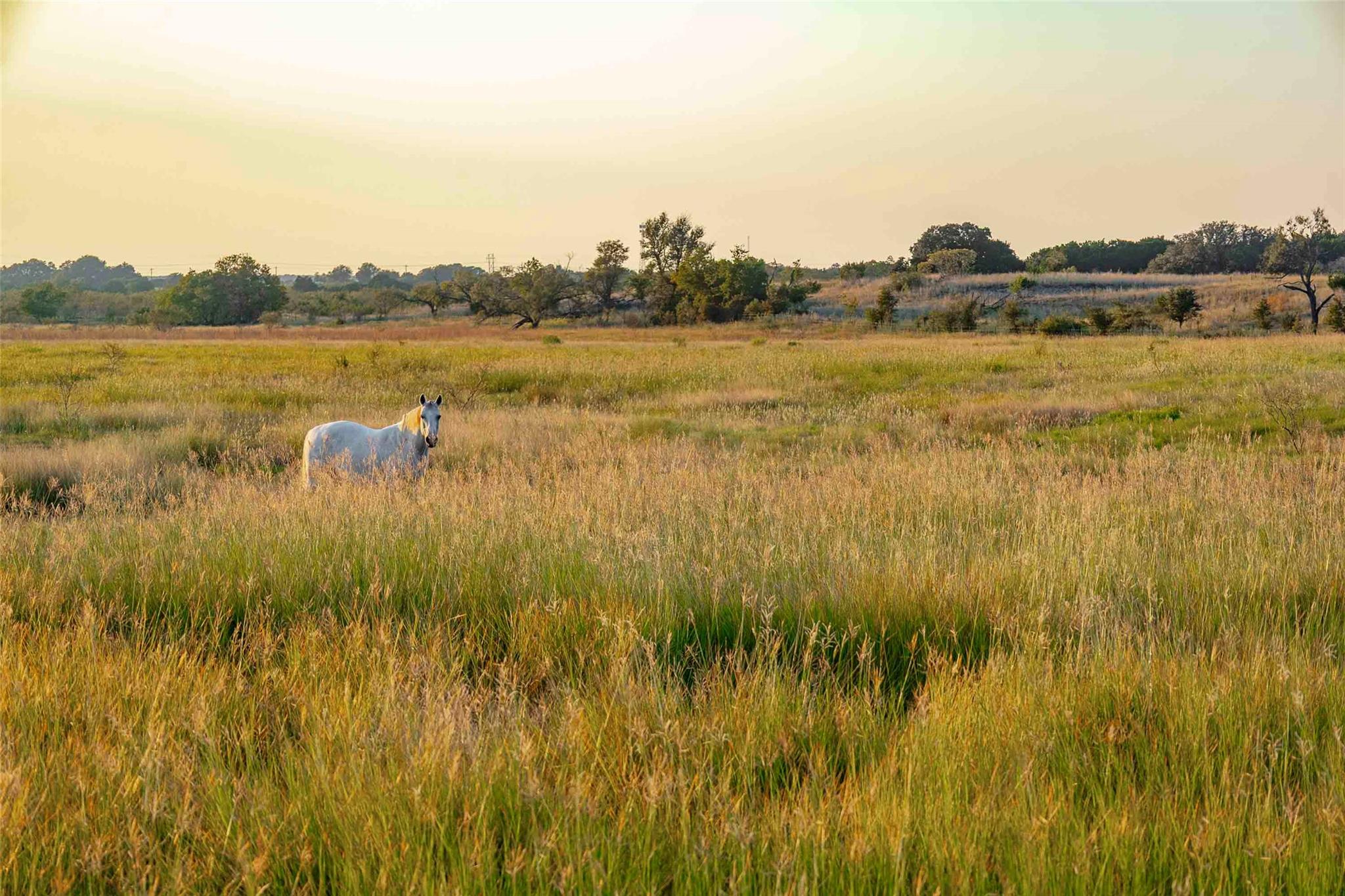 6415 County Road 3420, Lampasas, TX 76550