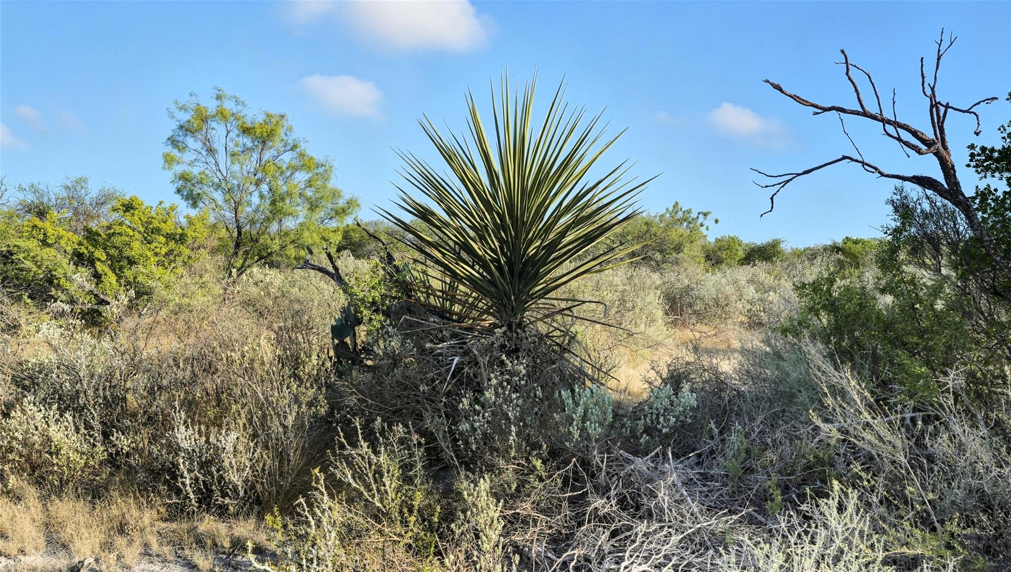 000 Ranch to Market 3008 Rnch, Brackettville, TX 78832