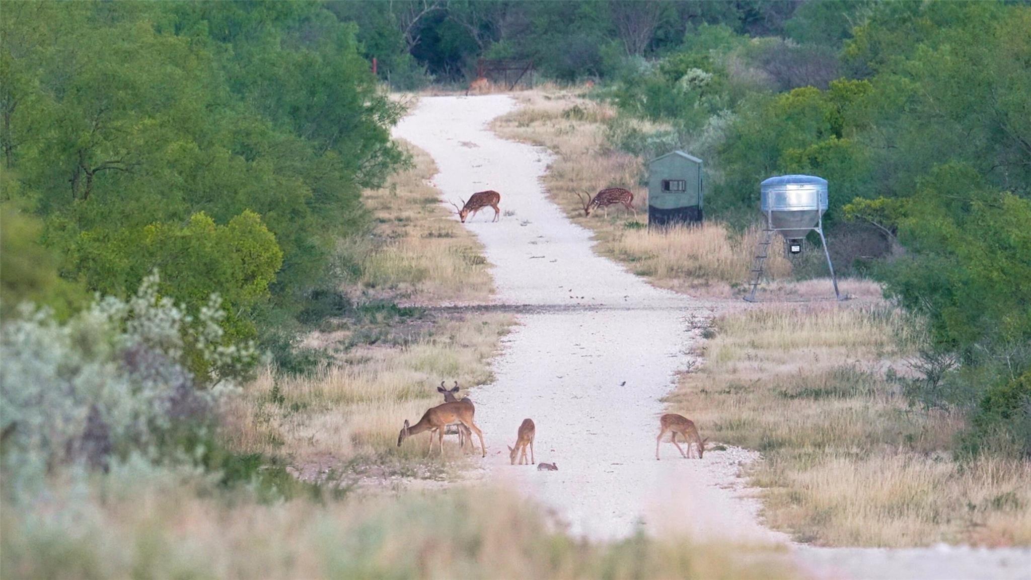 000 Ranch to Market 3008 Rnch, Brackettville, TX 78832
