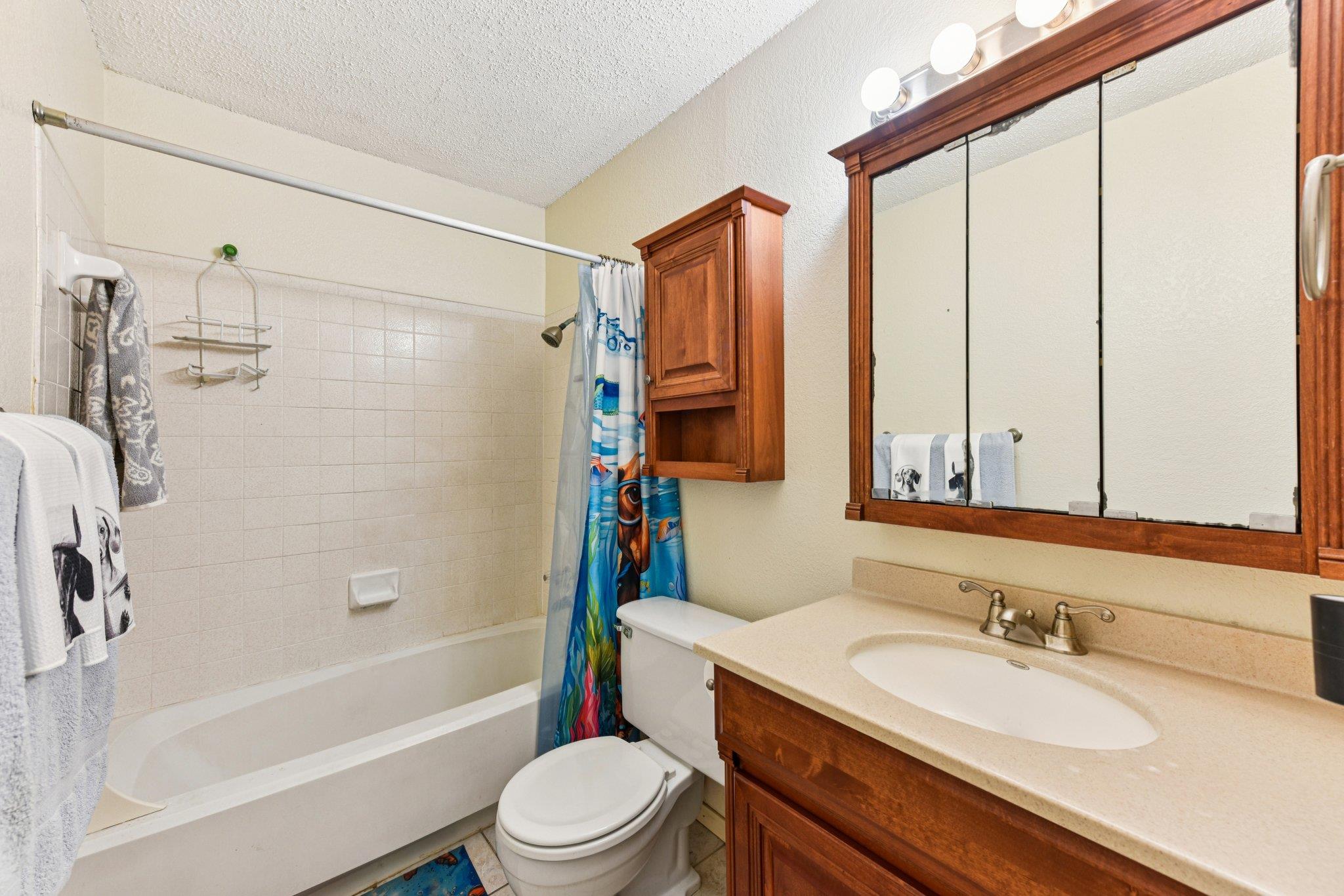 8318 Gallatin Dr, Austin, TX 78736