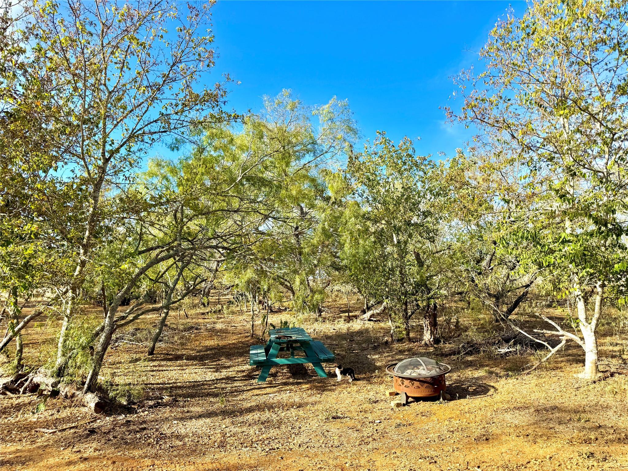 6052 Tenney Creek Rd, Luling, TX 78648