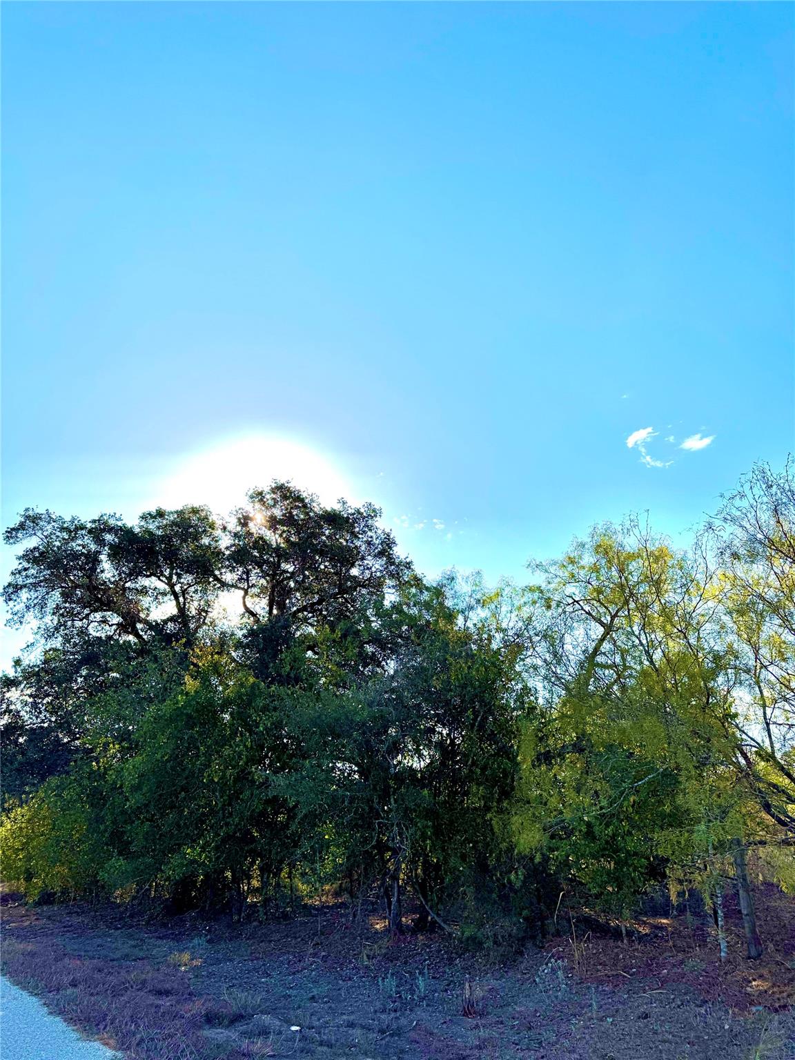 6052 Tenney Creek Rd, Luling, TX 78648