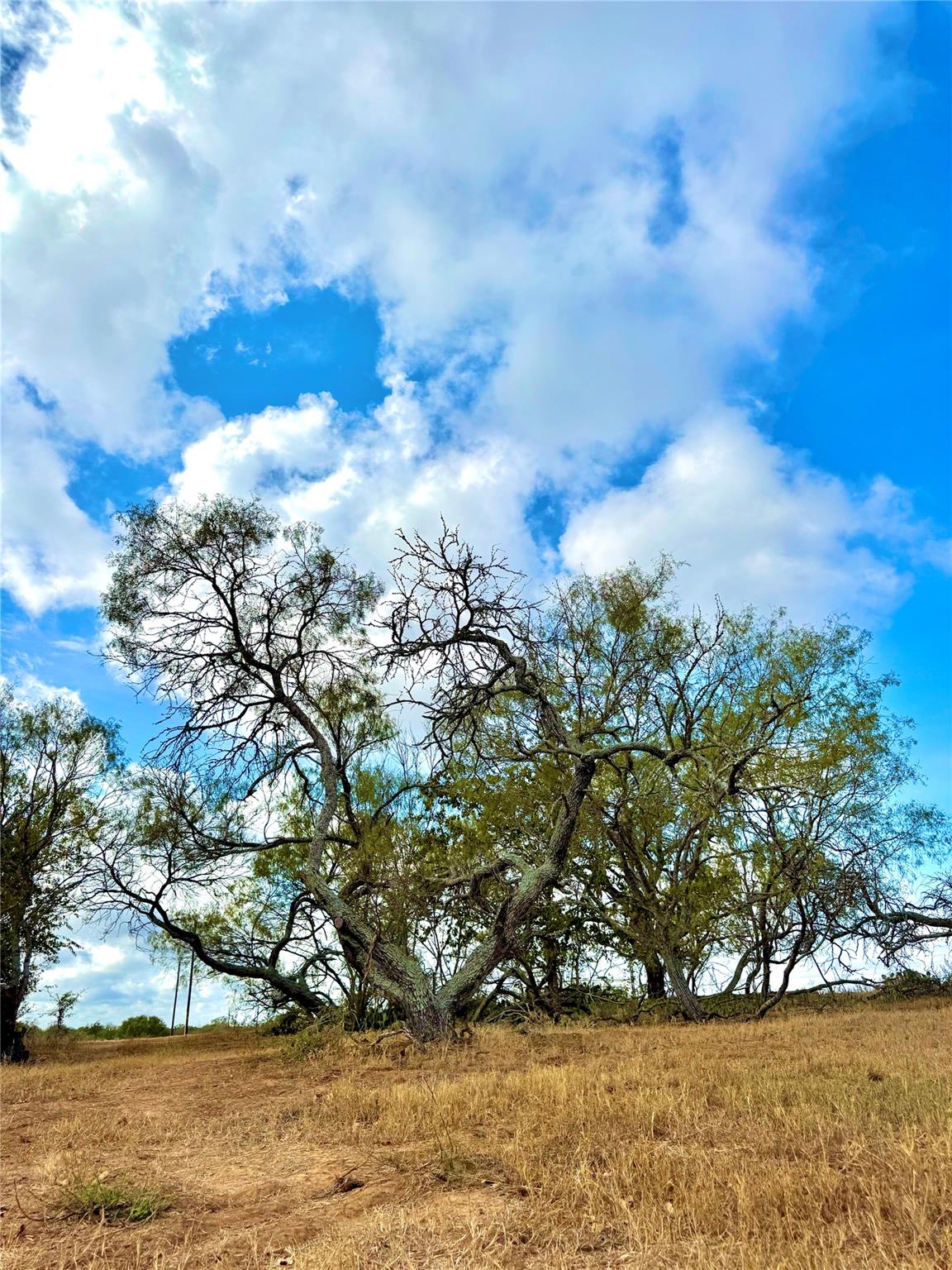 6052 Tenney Creek Rd, Luling, TX 78648