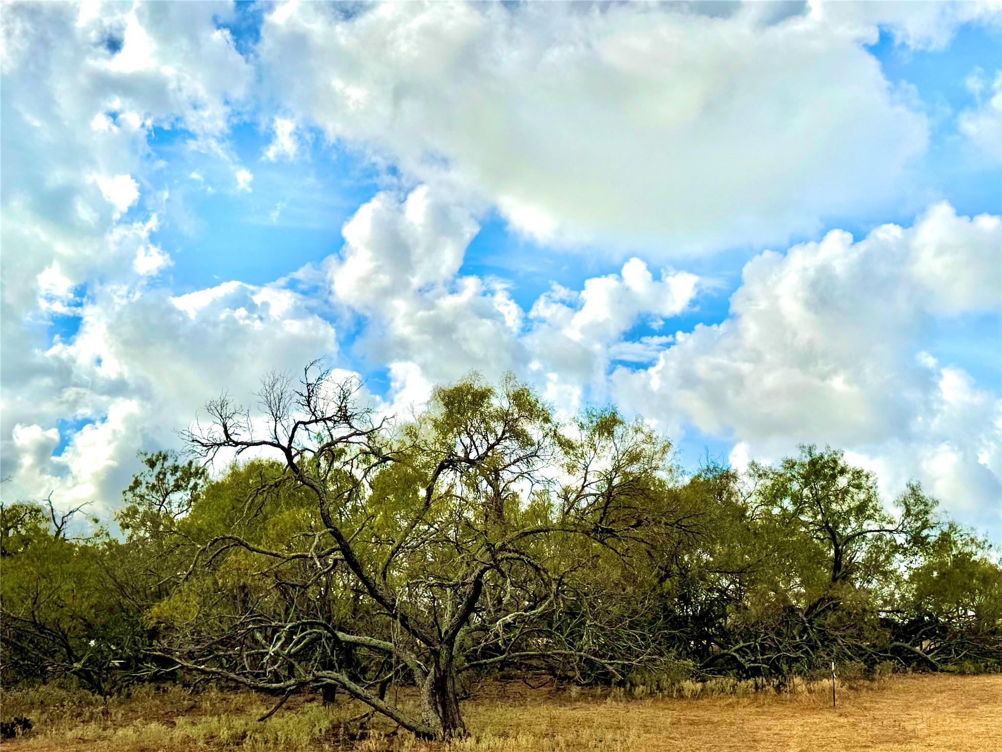 6052 Tenney Creek Rd, Luling, TX 78648